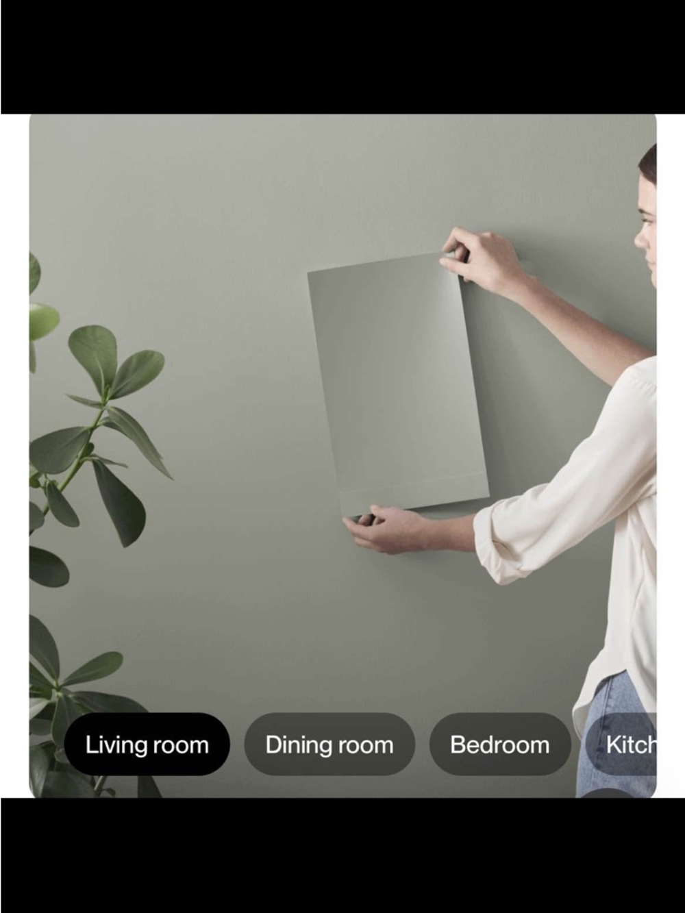Samplize Peel & Stick Paint Samples Sherwin Williams, Neutral & Green, Standard